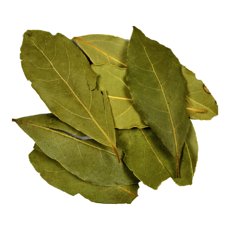 liść laurowy cały.png