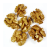 orzech włoski 2.png