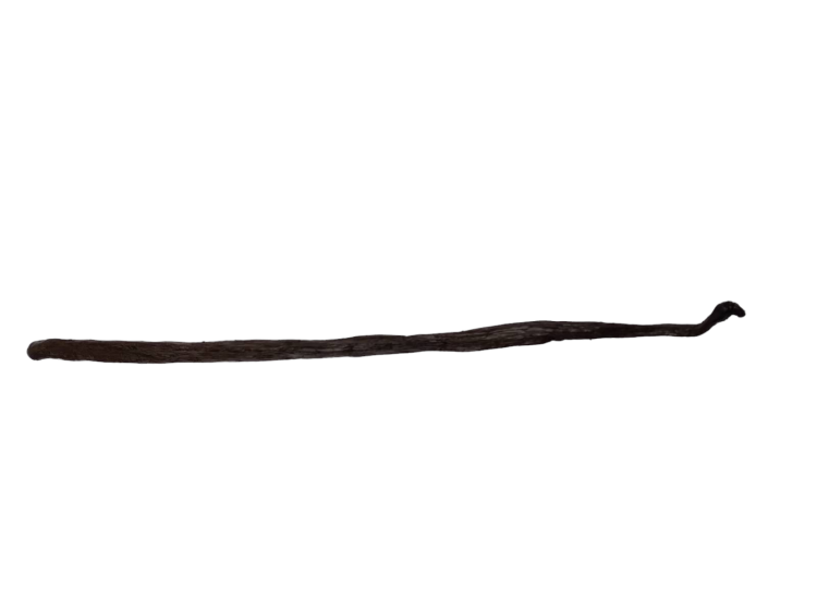Wanilia laska-.png