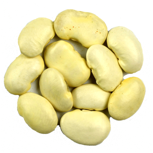 fasola jaś duży.png