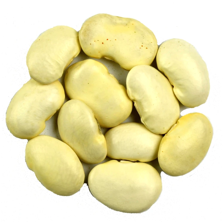 fasola jaś duży.png