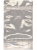 doypack 1.png