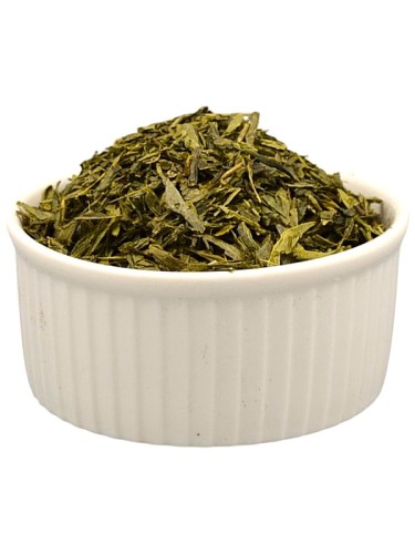 SENCHA.jpg