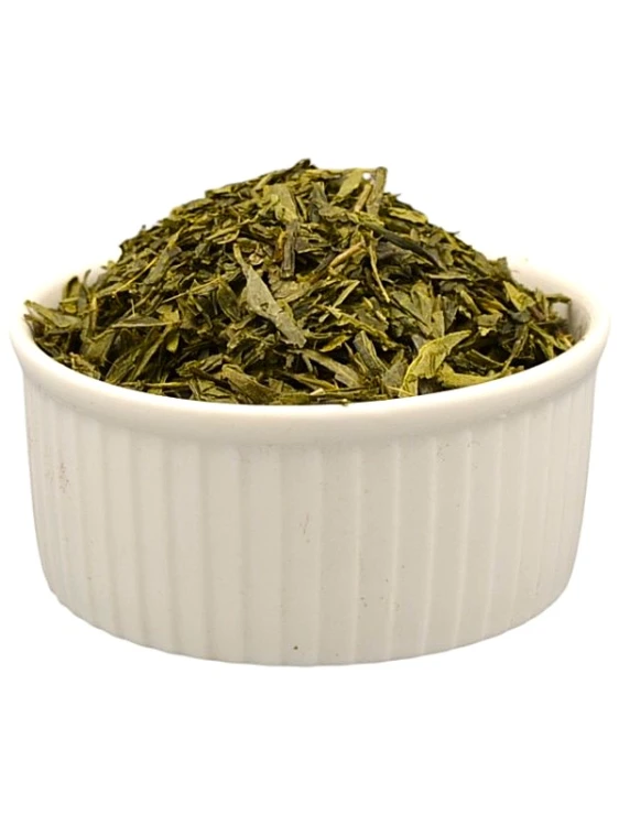 SENCHA.jpg