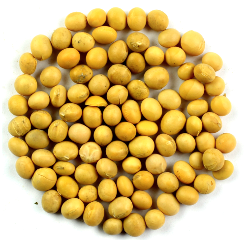 soja.png