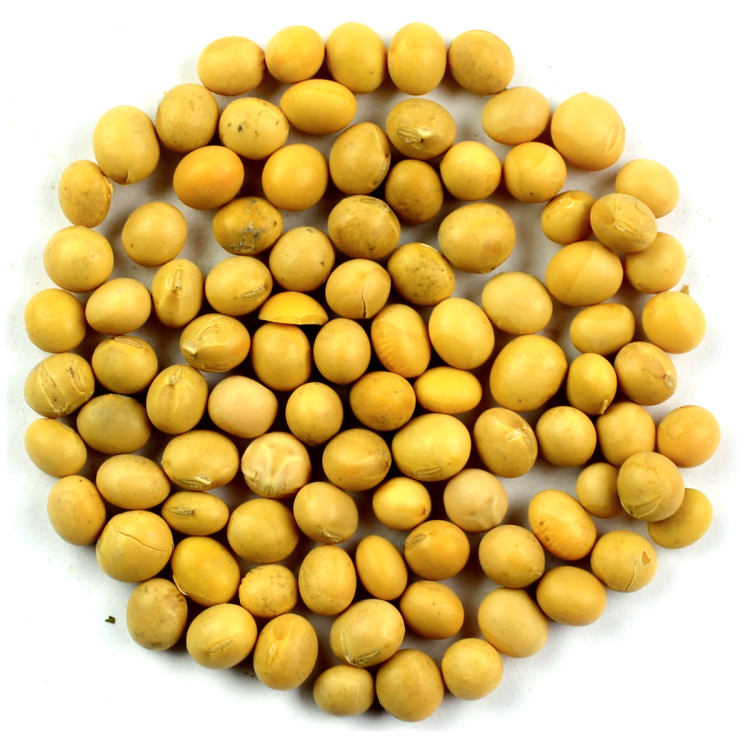 soja.png